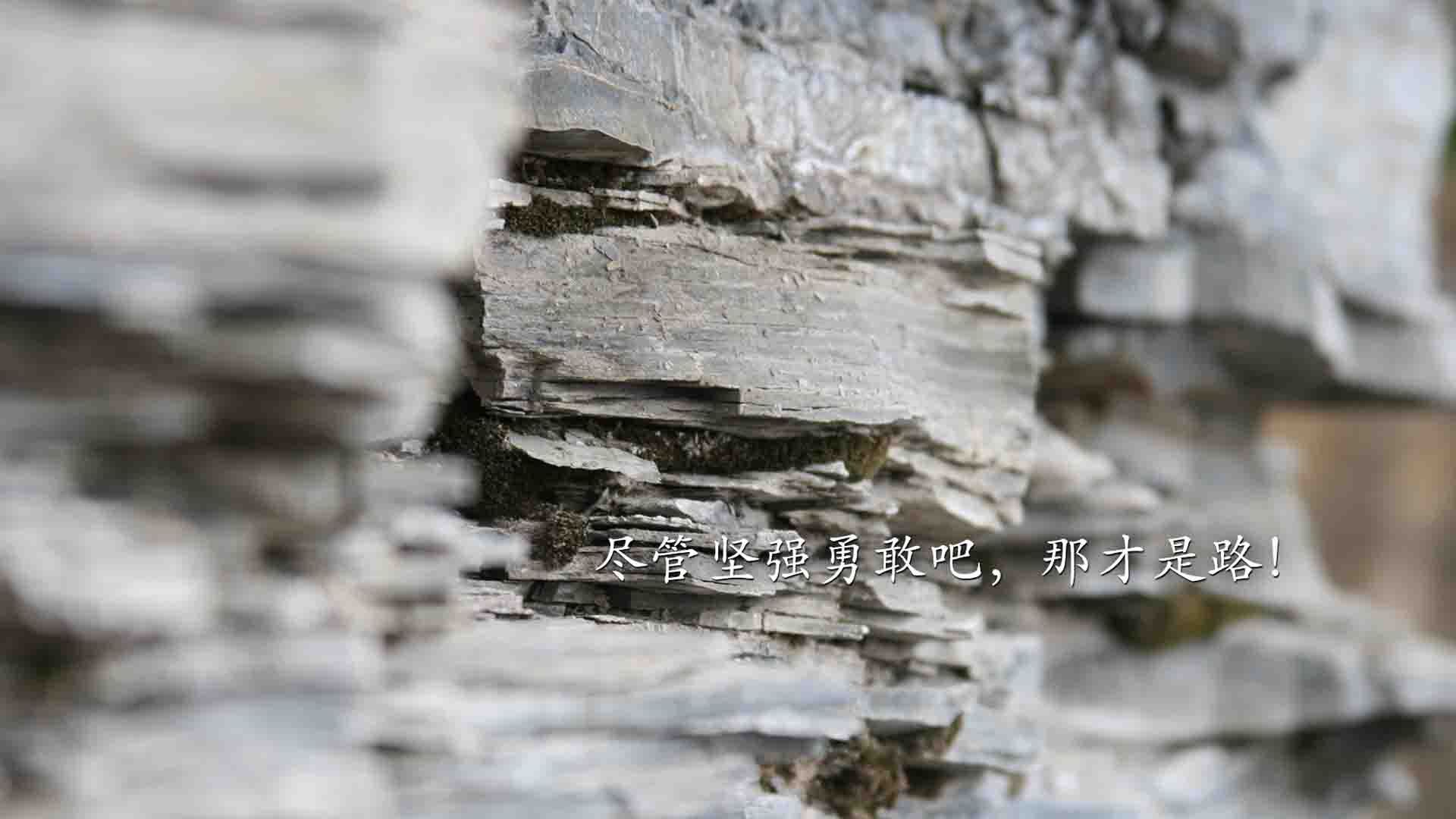 舞台越大越强，布伦森率领老鹰对阵广厦队的战术博弈